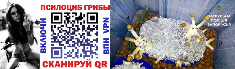 Псилоцибиновые грибы мухоморы  Купить закладки  Рыбинск 